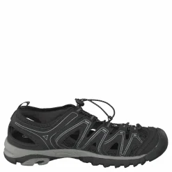 413-0283 Black*Polecat New