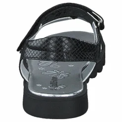 433-0686 Black*Gulliver Sale