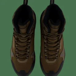 Network 43-03367 Brown