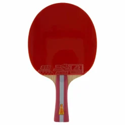 1a+ Table Tennis Racket*Double Fish Online