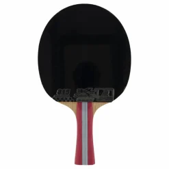 1a+ Table Tennis Racket*Double Fish Online