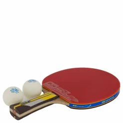 Double Fish 6a+ Table Tennis Racket New