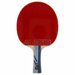 Double Fish 3a+ Table Tennis Racket Best