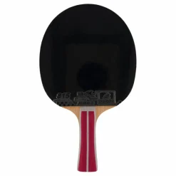 2a+ Table Tennis Racket*Double Fish