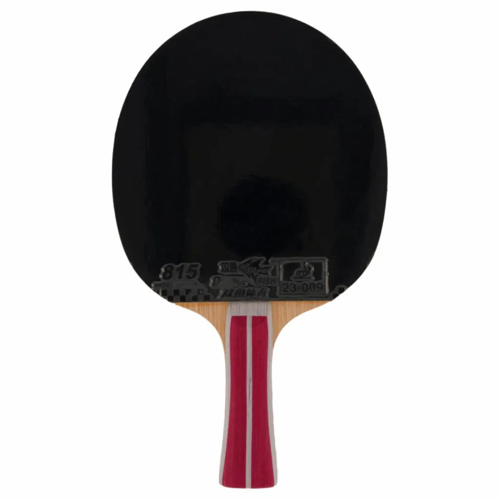 2a+ Table Tennis Racket*Double Fish