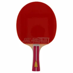 2a+ Table Tennis Racket*Double Fish