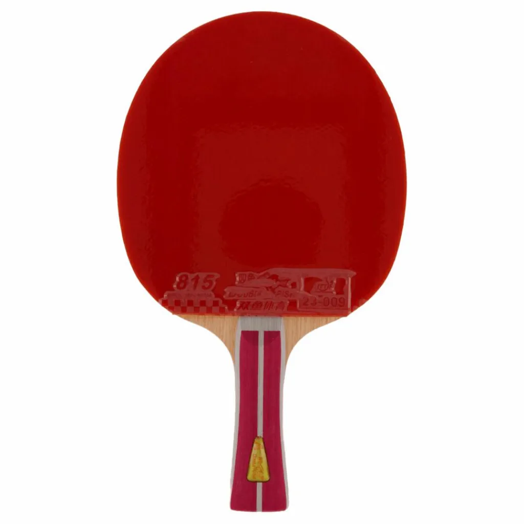 2a+ Table Tennis Racket*Double Fish