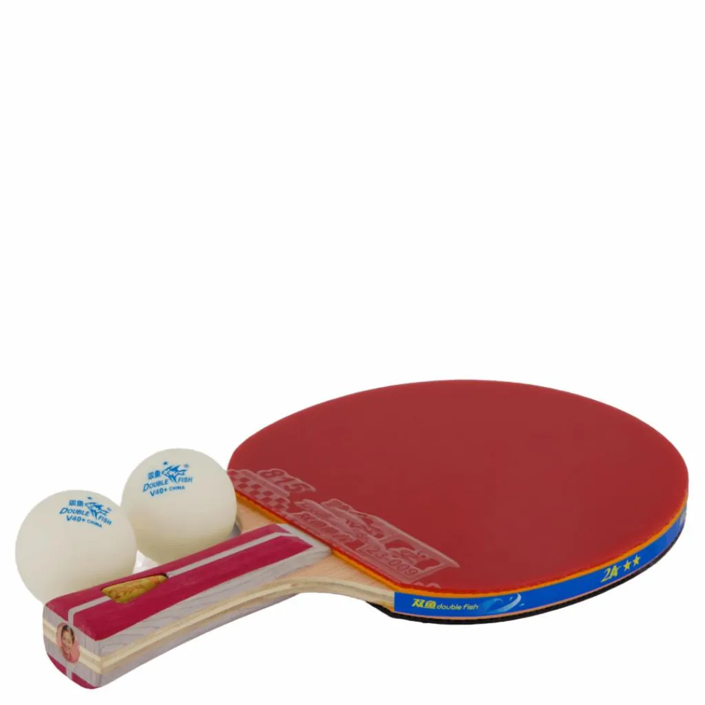 2a+ Table Tennis Racket*Double Fish
