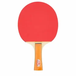 Double Fish 036a Table Tennis Set Hot