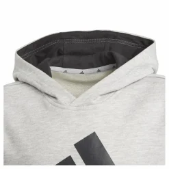 Essentials Hoodie Medium Grey Heather*adidas Outlet
