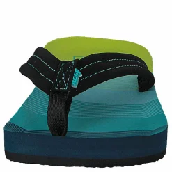Reef Ahi Aqua/Green Turkos och Blå Outlet