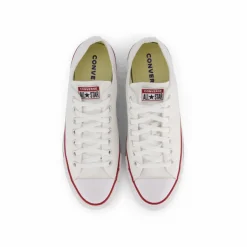 Converse All star Canvas Ox Optical White Vit New