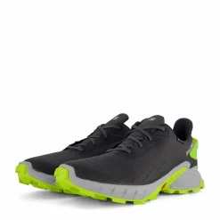 Alphacross 4 Gtx Ebony/pearl Blue/acid Lime*Salomon Clearance