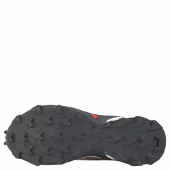 Salomon Alphacross 4 Gtx W Ashes Of Roses/white/ebony Outlet