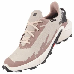 Salomon Alphacross 4 Gtx W Ashes Of Roses/white/ebony Outlet