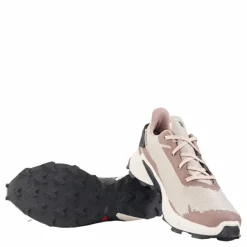 Salomon Alphacross 4 Gtx W Ashes Of Roses/white/ebony Outlet