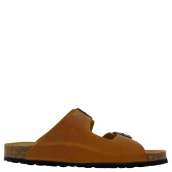 Andrea Camel*Axelda Sale