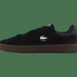 Lacoste Baseshot Blk/dk Gum Black Online