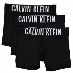 Boxer Brief 3pk*Calvin Klein Hot
