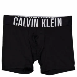 Boxer Brief 3pk*Calvin Klein Hot