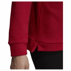 adidas Celebrate The 90S Hoodie Red Röd Outlet