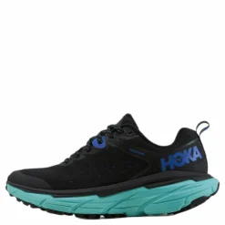Hoka Challenger ATR 6 GTX Black