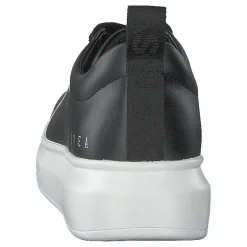 Charlie Black*Svea Sale