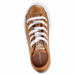 Chuck Taylor All Star Mesh Brown*Converse Discount