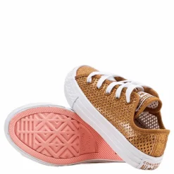 Chuck Taylor All Star Mesh Brown*Converse Discount