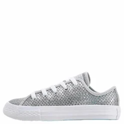 Converse Chuck Taylor All Star Mesh Silver New