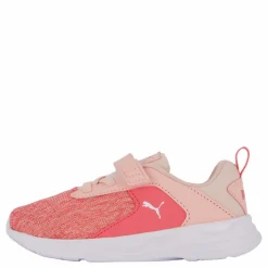 Comet 2 Alt V Inf Loveable-rose Dust*Puma Best