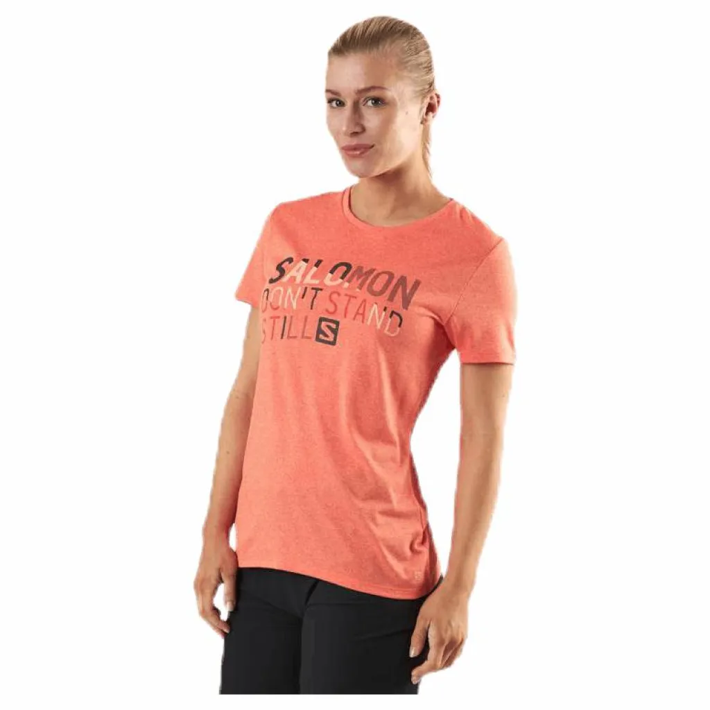 Comet Classic Tee Pink*Salomon New