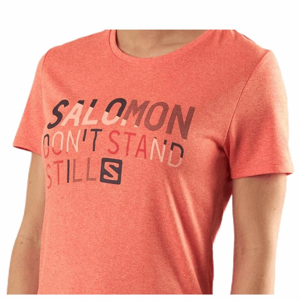 Comet Classic Tee Pink*Salomon New