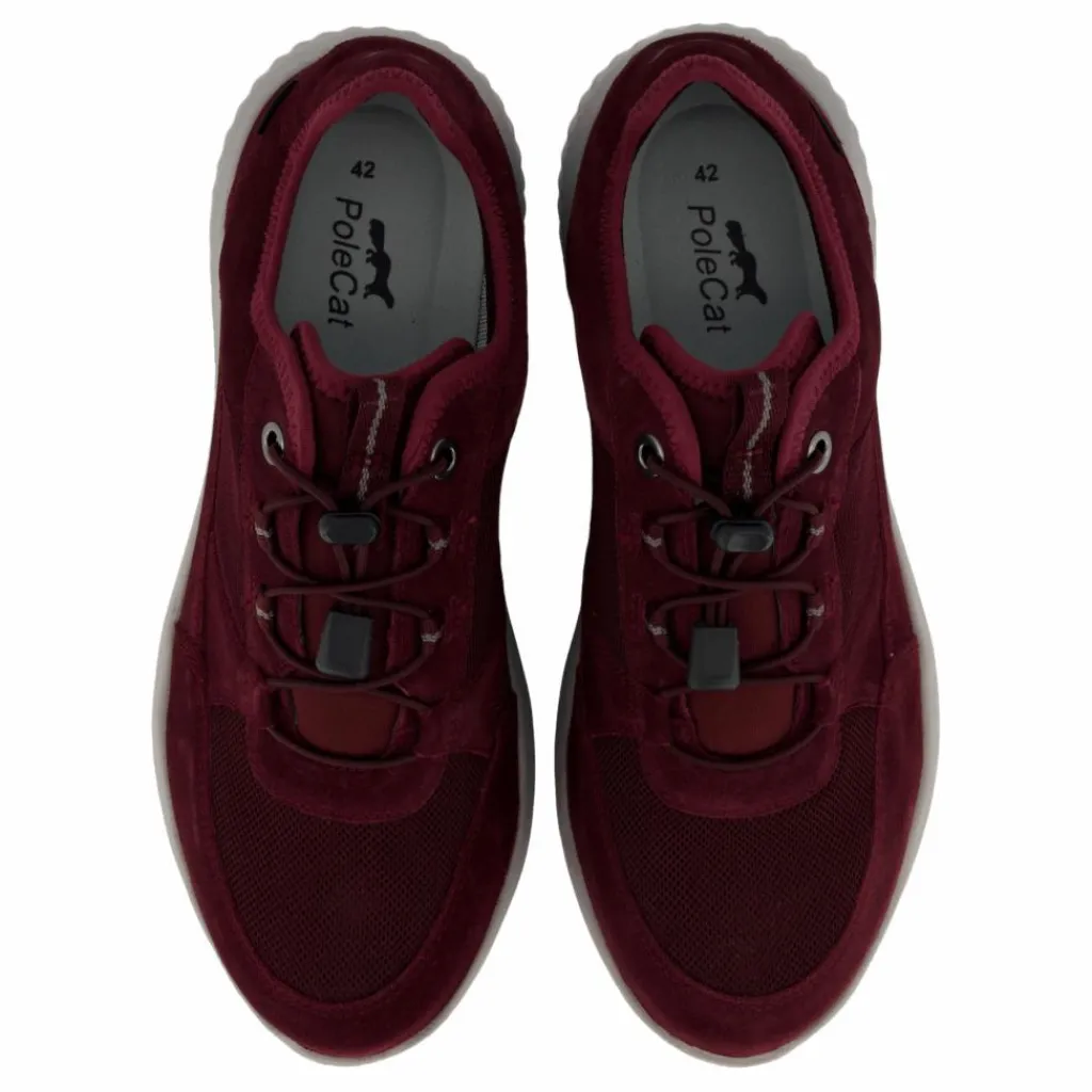 Credo Toronto Gtx Bordo*Polecat Best