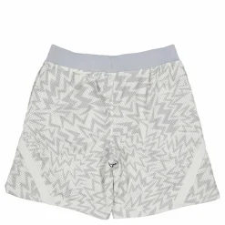 Under Armour Curry Mesh Short 2 White Clay Flerfärgad