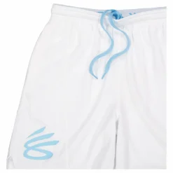 Curry Splash Short Grey*Under Armour