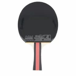 Double Fish 2d-c Table Tennis Racket Best