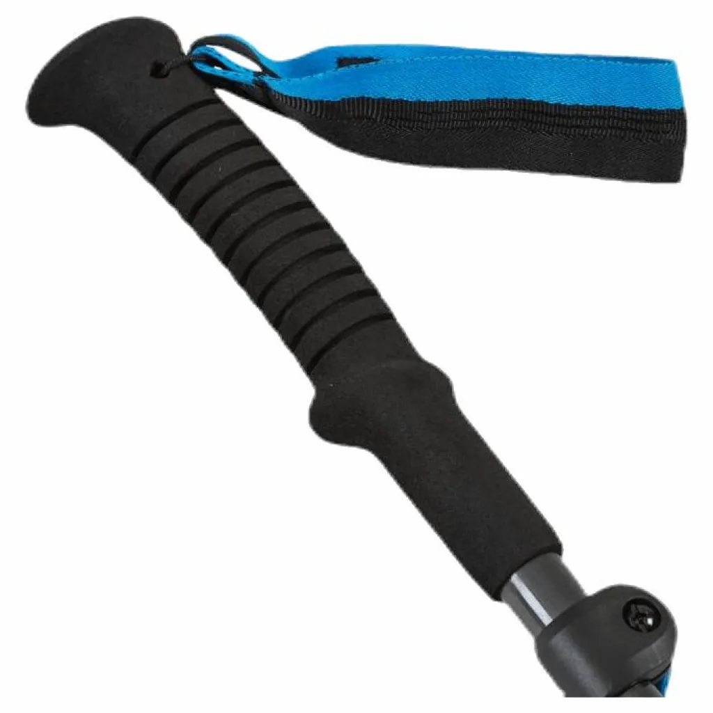 Black Diamond Distance Carbon FLZ Z-Poles Black Svart Online