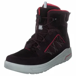 ECCO Urban Snowboarder Fig/teaberry Lila och Svart Best