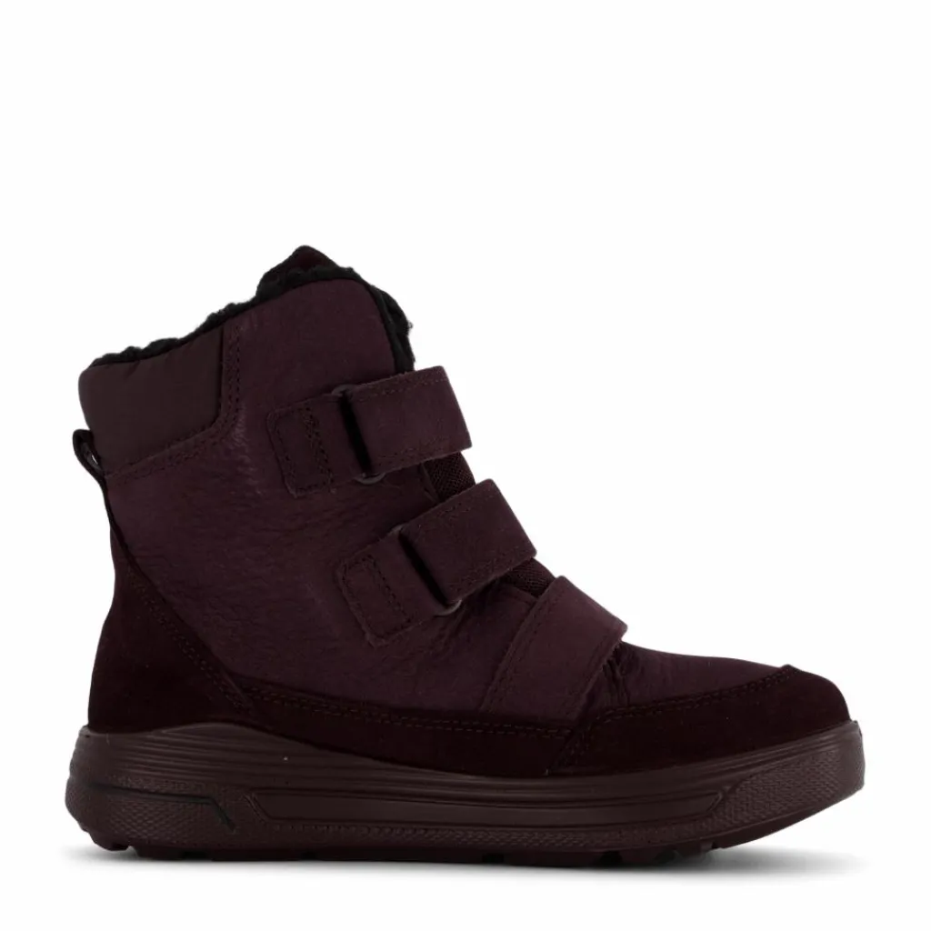 ECCO Urban Snowboarder Fig/fig/fig Svart Hot