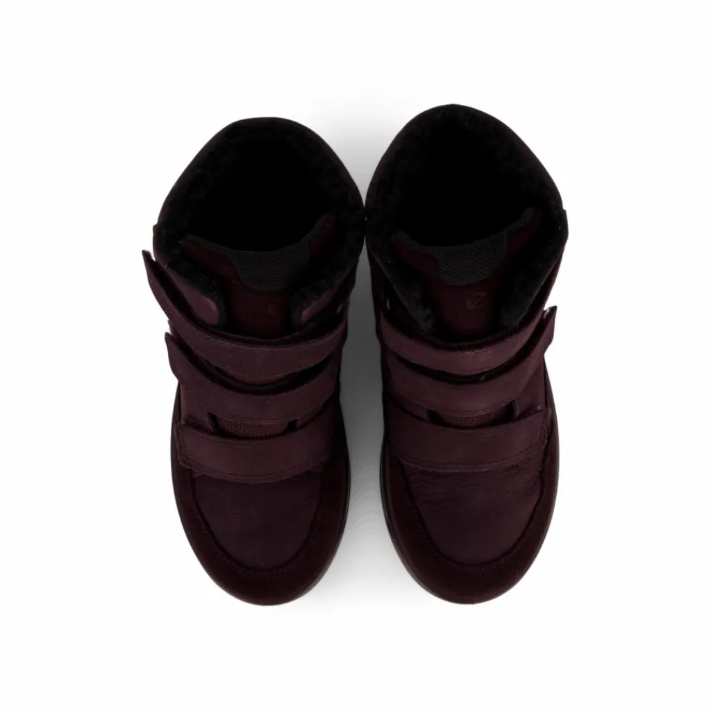 ECCO Urban Snowboarder Fig/fig/fig Svart Hot