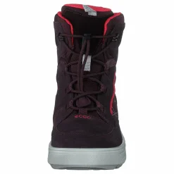 ECCO Urban Snowboarder Fig/teaberry Svart