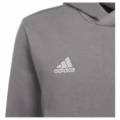 Entrada 22 Sweat Hoodie Tegrfo*adidas Best