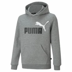 Puma Ess+ 2 Col Big Logo Hoodie Fl  Medium Gray Heather Grå Discount