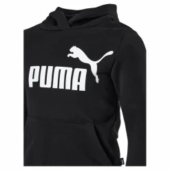 Ess Logo Hoodie Fl G Black*Puma Online