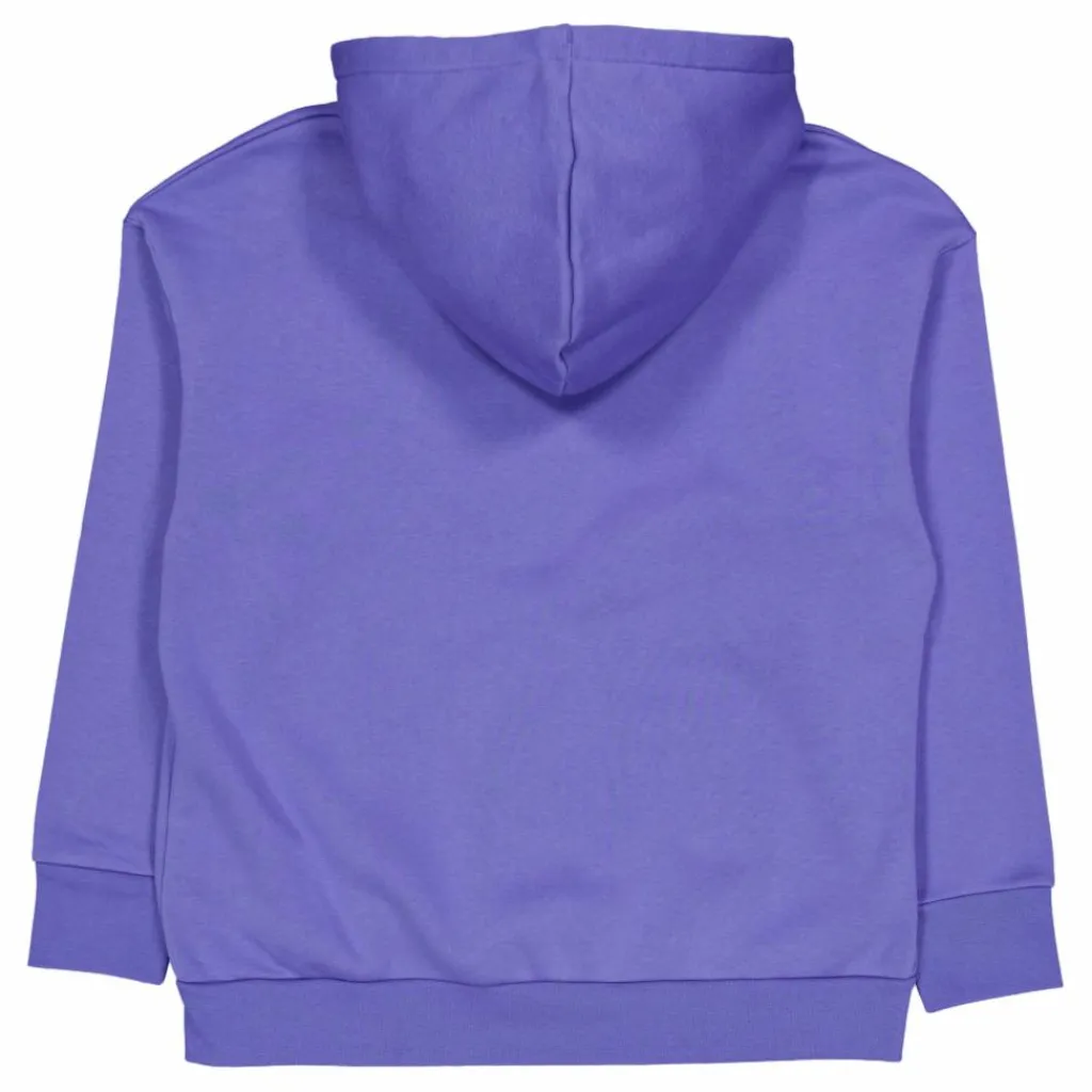 Essential Fleece Fz Starlight*Under Armour Hot