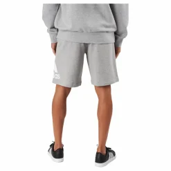 Essentials Big Logo French Terry Shorts Medium Grey Heather*adidas