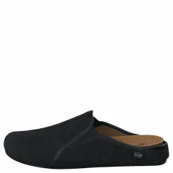 Felce Black*Scholl Online