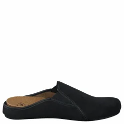 Felce Black*Scholl Online