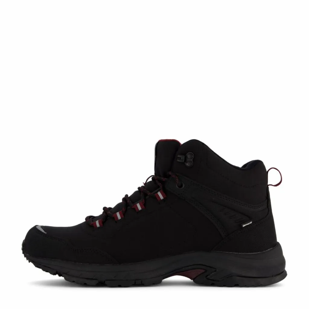 Felis Mid Dx W Black*Halti New
